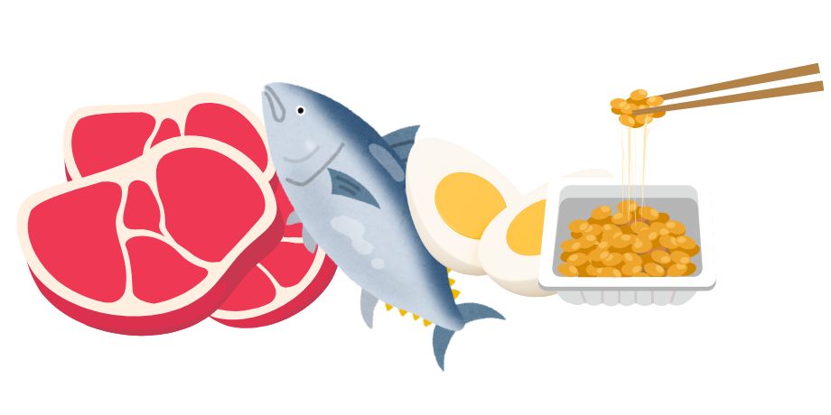 肉・魚・卵・大豆製品
